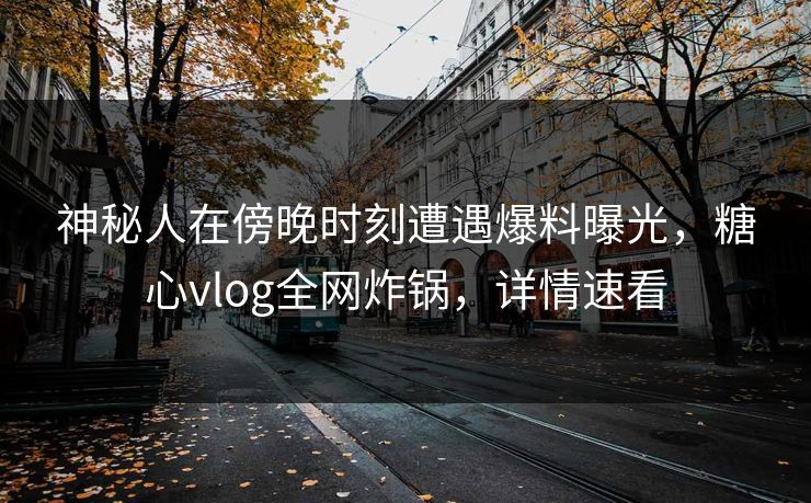 神秘人在傍晚时刻遭遇爆料曝光，糖心vlog全网炸锅，详情速看