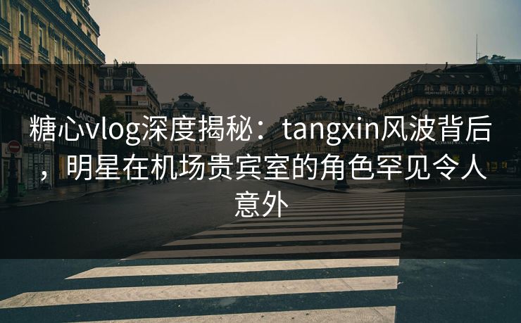 糖心vlog深度揭秘：tangxin风波背后，明星在机场贵宾室的角色罕见令人意外  第1张