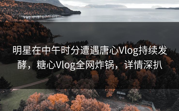 明星在中午时分遭遇唐心Vlog持续发酵，糖心Vlog全网炸锅，详情深扒