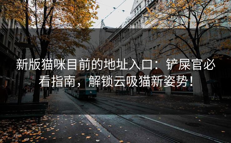 新版猫咪目前的地址入口：铲屎官必看指南，解锁云吸猫新姿势！  第1张