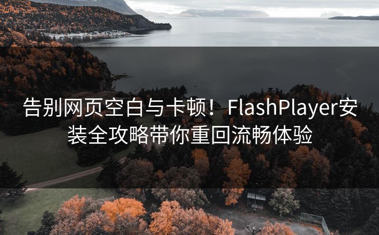 告别网页空白与卡顿！FlashPlayer安装全攻略带你重回流畅体验  第1张